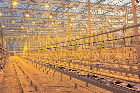 Testing the Lights in Our New Expansion