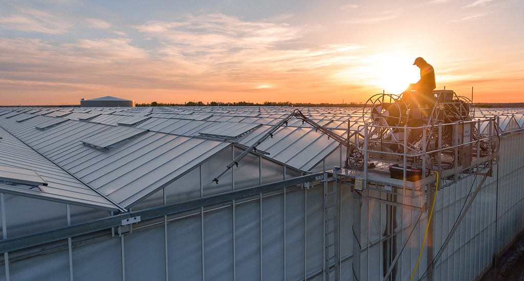 Coating the greenhouse roof