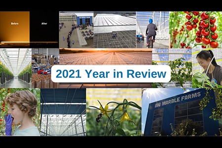 2021 A Year In Review