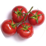 Tomatoes on the Vine