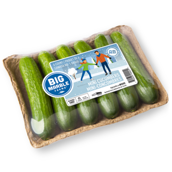 6 Count Mini Cucumber Tray Winter